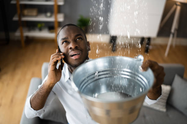 Best Water damage restoration near me  in Englewood, OH