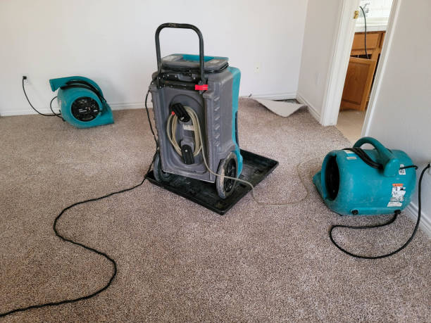 Water damage restoration mold remediation in Englewood, OH