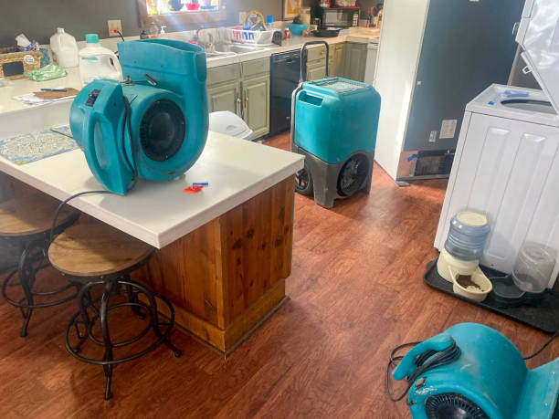 Best Flooded house restoration  in Englewood, OH