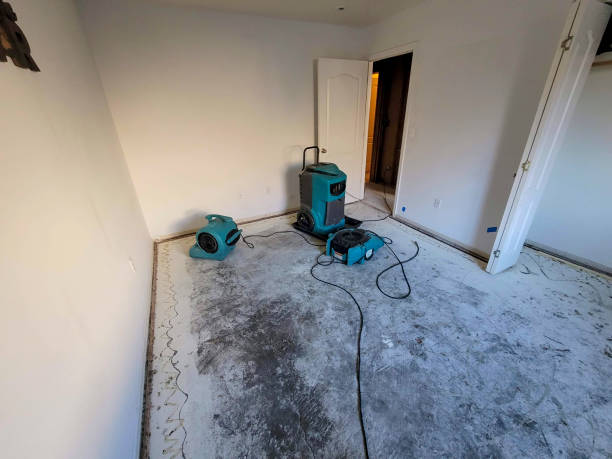 Water damage restoration insurance claims in Englewood, OH
