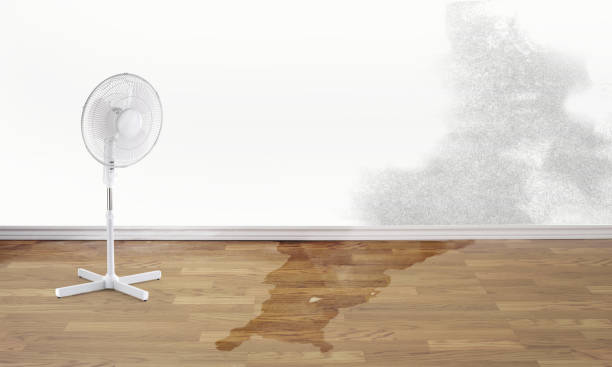 Professional Water damage restoration in Englewood, OH