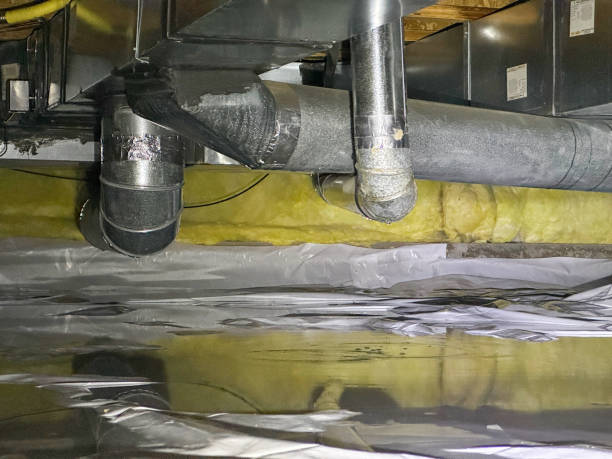 Best Water damage mitigation services  in Englewood, OH