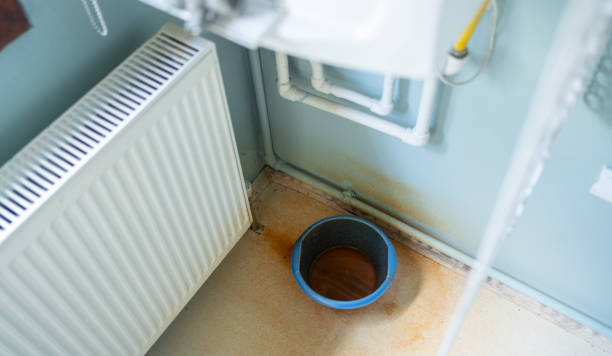 Best Carpet water damage restoration  in Englewood, OH