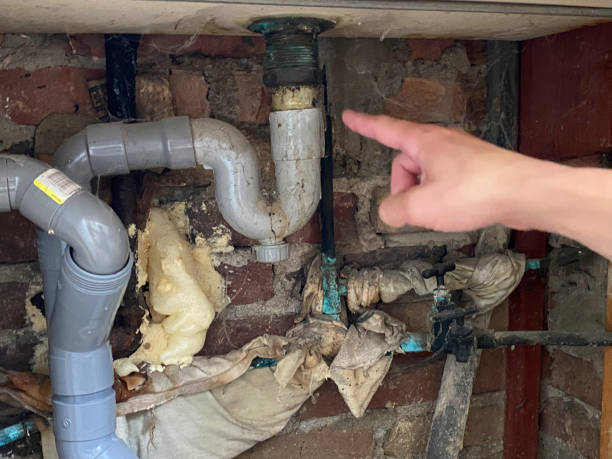 Best Water damage contractors near me  in Englewood, OH