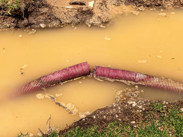 Best Water damage restoration near me  in Englewood, OH